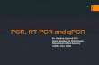 PCR, RT-PCR and qPCR
