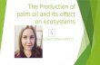 Presentation palm oil [autosaved]