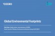 Global Environmental Footprints