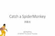 Catch a spider monkey