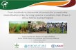 From hundreds to thousands of farmers for a sustainable intensification of key farming systems in southern Mali: Phase 2—Africa RISING Scaling Program