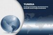 Tunisia - Creating an Enabling Environment for Domestic and Foreign Investments