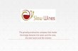 Slowwines: the slow paced wine travel company