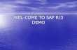 Free SAP Demo