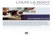 Louis la Rooy architectural works and projects in glass