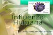 Influenza humana