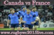 Watch Rugby World Cup Final 2015 Online