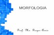 Morfologia Significante Significado