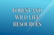 Forest & Wildlife Resources - Class X Geography