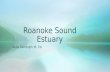 Roanoke sound estuary