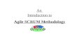 Agile Scrum Methodology