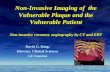 083 non invasive imaging of  the vulnerable plaque