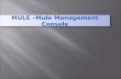 Mule management console