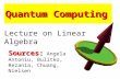 1619 quantum computing