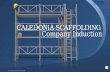 Caledonia Scaffolding Company Induction