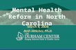 The Mental Health System: Organization and Resources by Beth ...