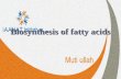 Fatty acid synthesis and cholestrol synthesis