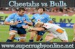 live match Cheetahs vs Bulls