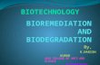Biodegradation And Bioremediation