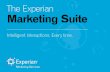 CCM Experian-marketing-suite