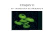 Chapter 8  metabolism