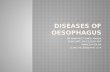 Diseases of oesophagus
