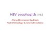 Herpetic esophagitis