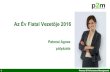 Patonai Ágnes az év fiatal vezetője pályázat 2016