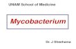 Mycobacterium (1)