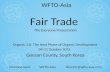 2015 10 10 WFTO ASIA presentation to IFOAM in  Korea