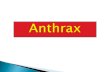Anthrax_D Dutta