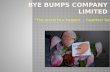 Bye Bumps Company Limited