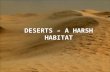 Deserts – a harsh habitat