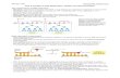 DNA replication, repair and recombination Notes