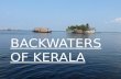 Backwaters of kerala