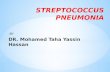 Streptococcus pneumonia