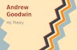Andrew Goodwin' theory