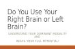 Right brain or Left brain