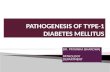 Type 1 diabetes mellitus