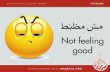 Improve your Egyptian Colloquial Arabic vocabulary