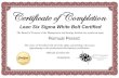 Lean Six Sigma White Belt Certified