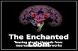 The Enchanted Loom reviews Shankar Vedantam's book, The Hidden Brain