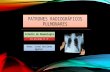 Patrones radiográficos pulmonares rx   tcar