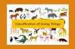 Living things classification