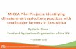 MICCA Pilot Projects: Identifying climate-smart agriculture practices with smallholder farmers in East Africa