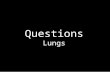 Questions Lungs