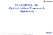 T sel3 g optimization process and guideline ver01