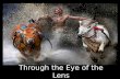 Through the Eye of the Lens