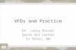 Dr. Laura Bruner - What Will Guidance 213 Mean To Veterinarians In Consulting Role