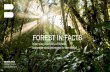 Forest in Facts -  why the WWF earns our support